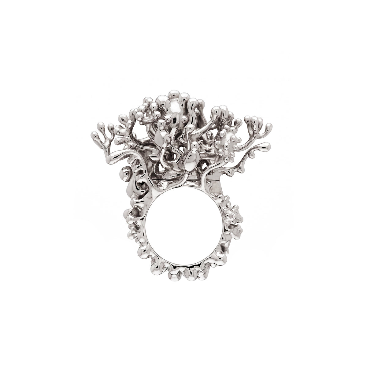 Garden Ring